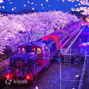 京都 - 秋季限定|金閣寺與嵐山夜楓列車夢幻一日遊|夜間點燈賞楓・嵐山深度遊覽(天龍寺/和服森林/竹林小徑)・大阪/京都出發